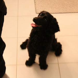 Meet your Posher, Kelsey